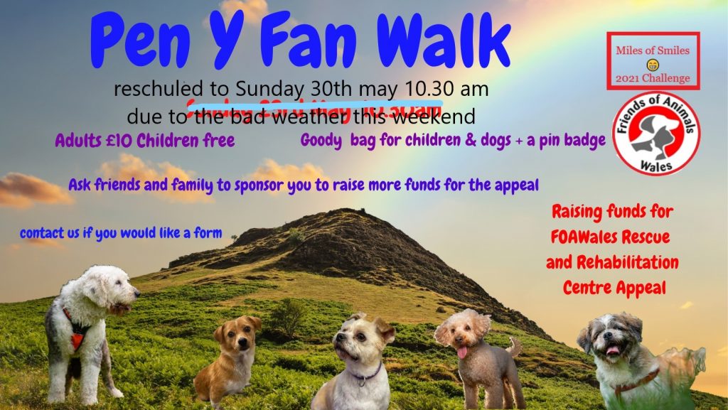 HOMEPAGE Friends of Animals Wales