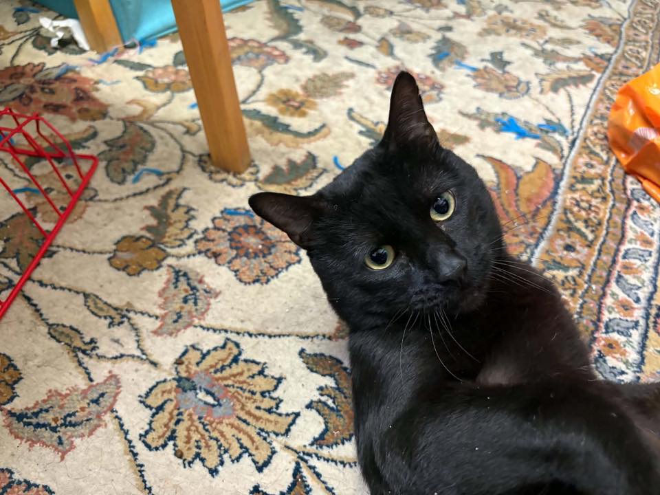 Walter